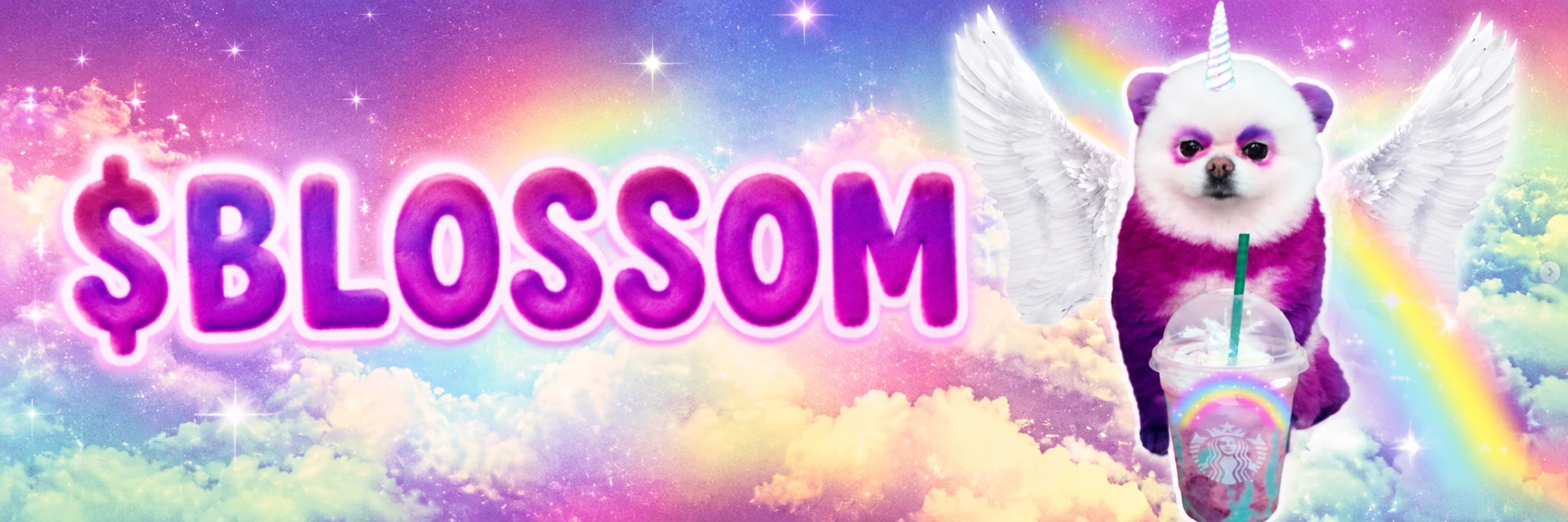 BLOSSOM banner